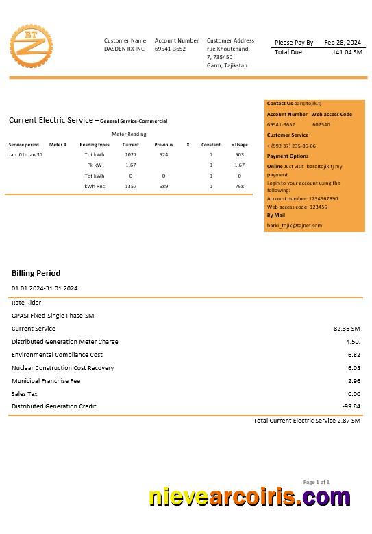 Tajikistan Barqi Tojik Company electricity business utility bill